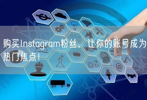 购买Instagram粉丝，让你的账号成为热门焦点！