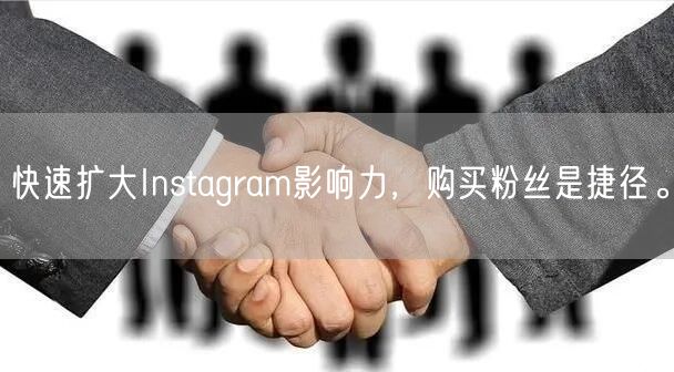 快速扩大Instagram影响力，购买粉丝是捷径。