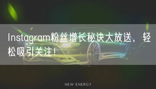 Instagram粉丝增长秘诀大放送，轻松吸引关注！