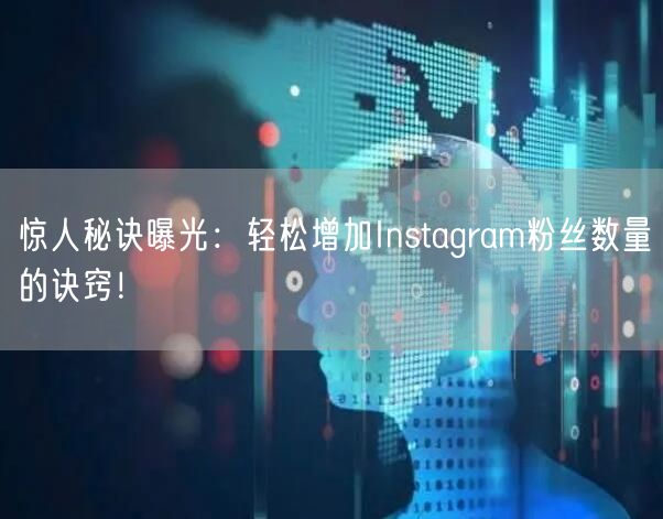 惊人秘诀曝光：轻松增加Instagram粉丝数量的诀窍！