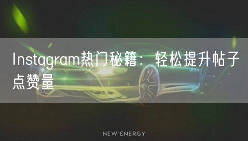 Instagram热门秘籍：轻松提升帖子点赞量