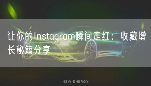 让你的Instagram瞬间走红：收藏增长秘籍分享