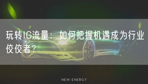 玩转IG流量:如何把握机遇成为行业佼佼者?