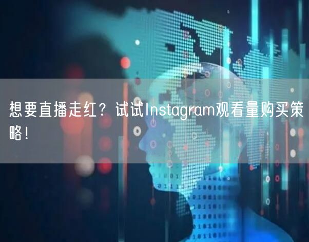 想要直播走红？试试Instagram观看量购买策略！