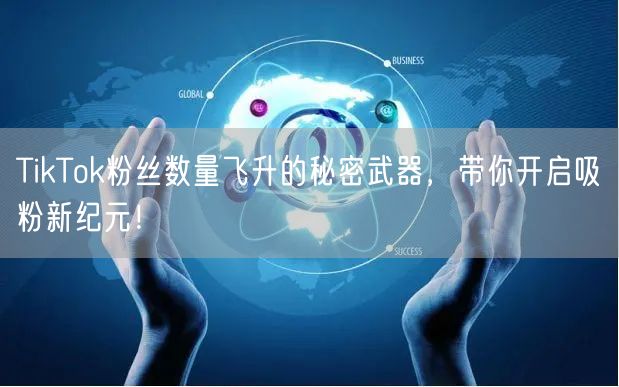 TikTok粉丝数量飞升的秘密武器，带你开启吸粉新纪元！