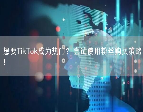 想要TikTok成为热门？尝试使用粉丝购买策略！