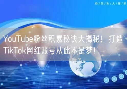 YouTube粉丝积累秘诀大揭秘！打造TikTok网红账号从此不是梦！