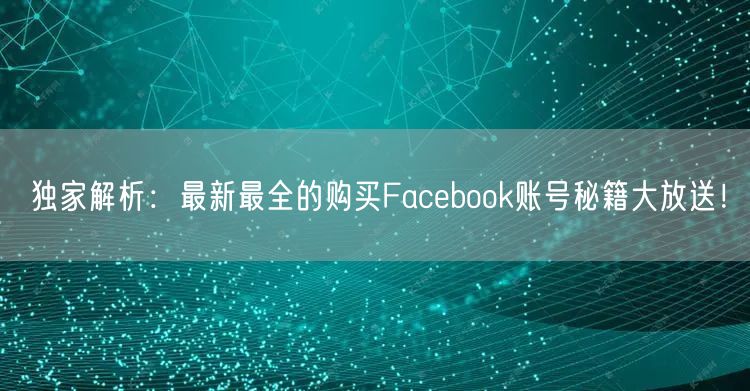 独家解析：最新最全的购买Facebook账号秘籍大放送！