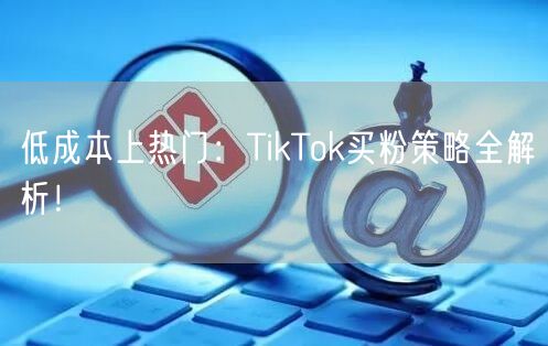 低成本上热门：TikTok买粉策略全解析！