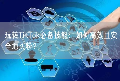 玩转TikTok必备技能：如何高效且安全地买粉？