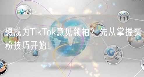 想成为TikTok意见领袖？先从掌握买粉技巧开始！