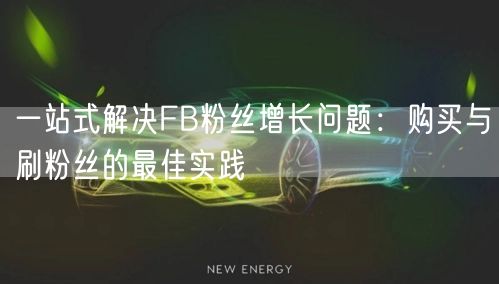 一站式解决FB粉丝增长问题：购买与刷粉丝的最佳实践