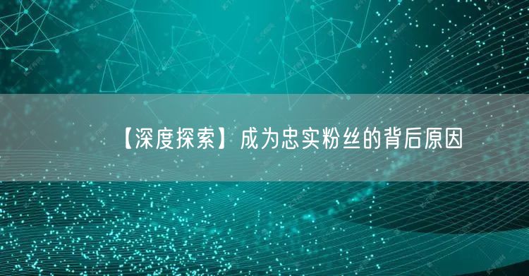 【深度探索】成为忠实粉丝的背后原因