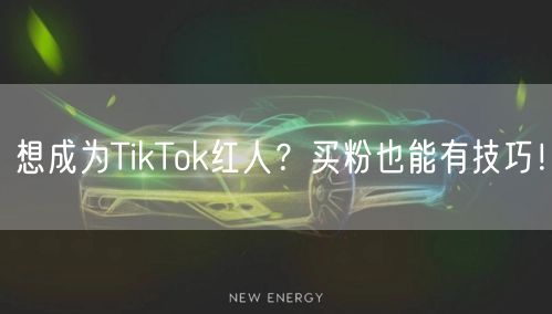 想成为TikTok红人?买粉也能有技巧!