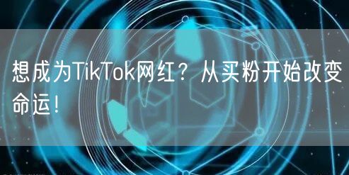 想成为TikTok网红？从买粉开始改变命运！
