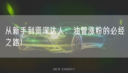 从新手到资深达人：油管涨粉的必经之路！