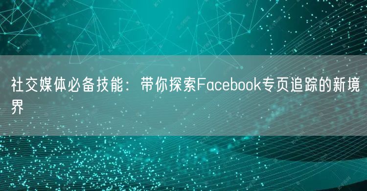 社交媒体必备技能：带你探索Facebook专页追踪的新境界