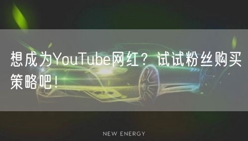 想成为YouTube网红?试试粉丝购买策略吧!