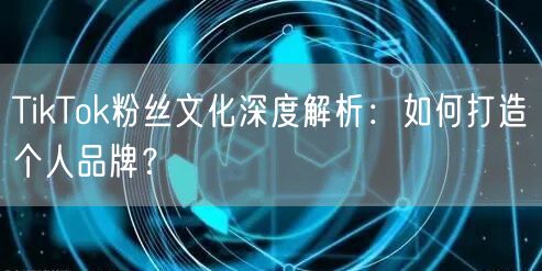 TikTok粉丝文化深度解析：如何打造个人品牌？