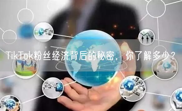 TikTok粉丝经济背后的秘密，你了解多少？