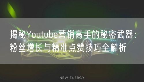 揭秘Youtube营销高手的秘密武器：粉丝增长与精准点赞技巧全解析