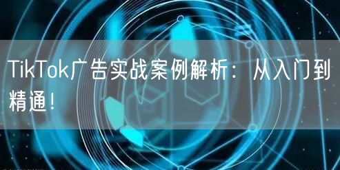 TikTok广告实战案例解析：从入门到精通！