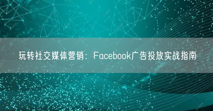 玩转社交媒体营销：Facebook广告投放实战指南
