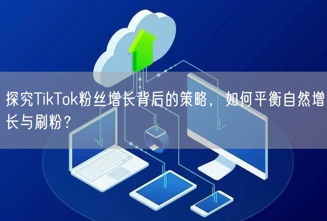 探究TikTok粉丝增长背后的策略,如何平衡自然增长与刷粉?