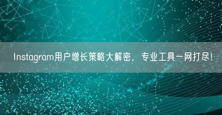 Instagram用户增长策略大解密，专业工具一网打尽！