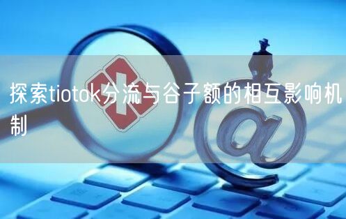 探索tiotok分流与谷子额的相互影响机制