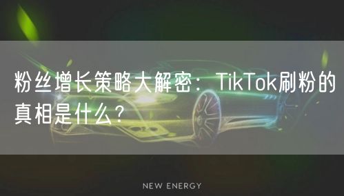 粉丝增长策略大解密:TikTok刷粉的真相是什么?