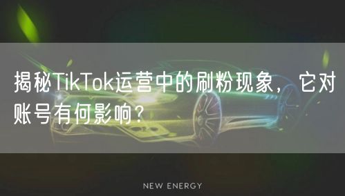 揭秘TikTok运营中的刷粉现象,它对账号有何影响?