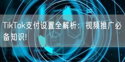 TikTok支付设置全解析：视频推广必备知识!