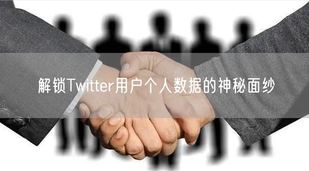 解锁Twitter用户个人数据的神秘面纱