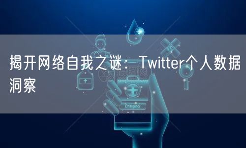 揭开网络自我之谜：Twitter个人数据洞察