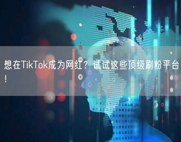 想在TikTok成为网红？试试这些顶级刷粉平台！