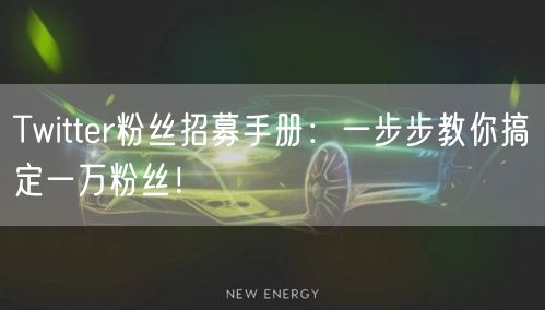 Twitter粉丝招募手册：一步步教你搞定一万粉丝！