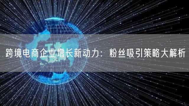 跨境电商企业增长新动力：粉丝吸引策略大解析