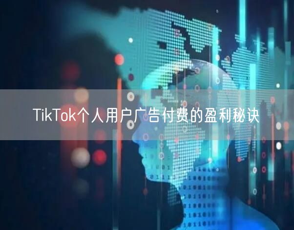 TikTok个人用户广告付费的盈利秘诀