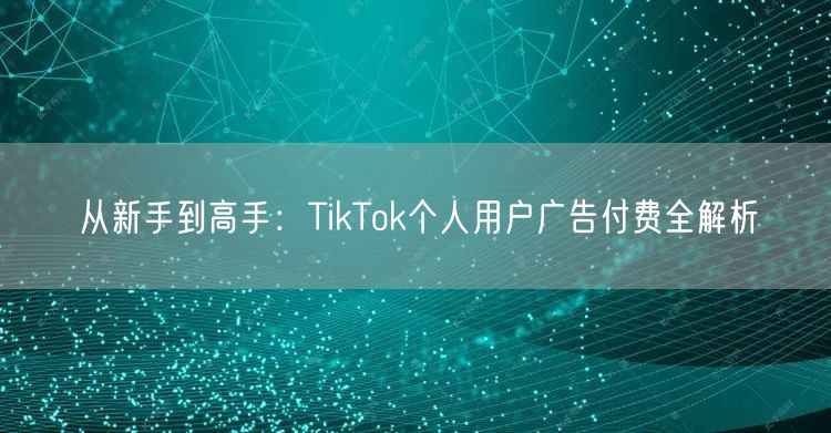 从新手到高手：TikTok个人用户广告付费全解析