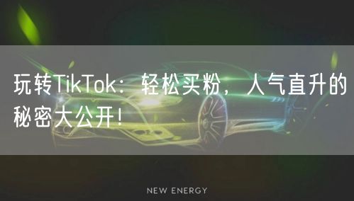 玩转TikTok：轻松买粉，人气直升的秘密大公开！